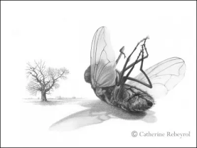 Elle est charge pour un bic et décharge pour un lapin. Elle est