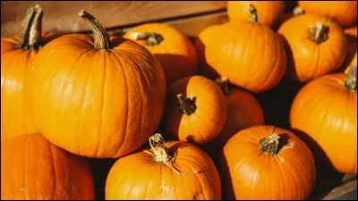 Comment s'appelle ceci en anglais ?