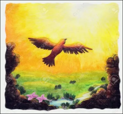 Quel animal préfères-tu ?