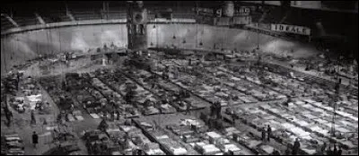 Pourquoi la rafle a-t-elle été organisée ?