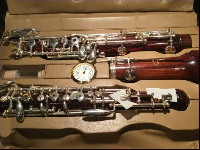 Comment s'appelle ceci en anglais ?