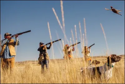 Comment s'appelle ceci en anglais ?