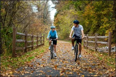 Comment s'appelle ceci en anglais ?