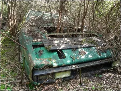 Cette voiture qui n'a pourtant pas pu être mangée par la rouille, est une...