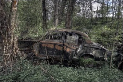 Celle-ci, qui se confond avec son environnement, est une...