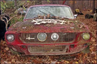 Cette voiture qui finit son existence au fond des bois, quel modèle est-ce ?
