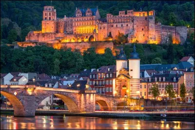 Comment s'appelle le pays ayant une ville du nom de Heidelberg ?
