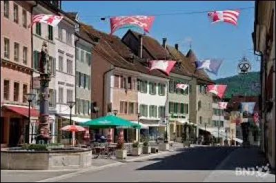 Dans quel pays se situe Del&eacute;mont ?