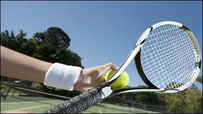 Comment s'appelle ceci en anglais ?