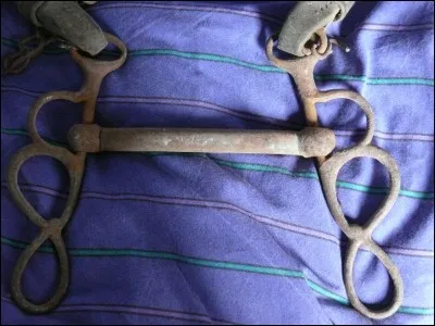 Quelle est l'orthographe de ce que porte le cheval dans la bouche avec le filet ?