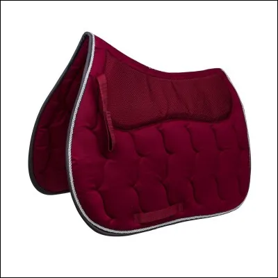 Qu'est-ce que c'est le tapis d'un cheval ?