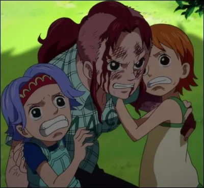 Belmer, la mère adoptive de Nami dans "One Piece"...