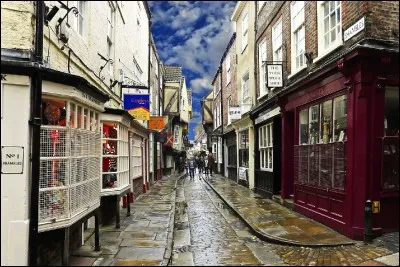 Mais il a d&eacute;cid&eacute; de prendre un bateau pour revenir &agrave; son pays d'origine en Europe, exactement &agrave; la ville de York, o&ugrave; peut-on l'admirer ?