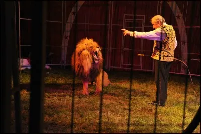 "Je deviendrais le meilleur dresseur !"D'o&ugrave; vient ce slogan ?