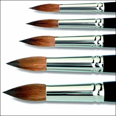 Parmi ces réponses, quels types de poils de pinceau ne figurent pas dans la catégorie des "poils fins" ?