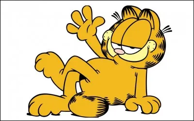 Quelles sont les deux activités favorites de Garfield ?