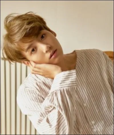 Quelles sont ses couleurs préférées ?