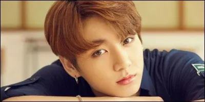 En quelle année est sorti son cover "Sofa" ?