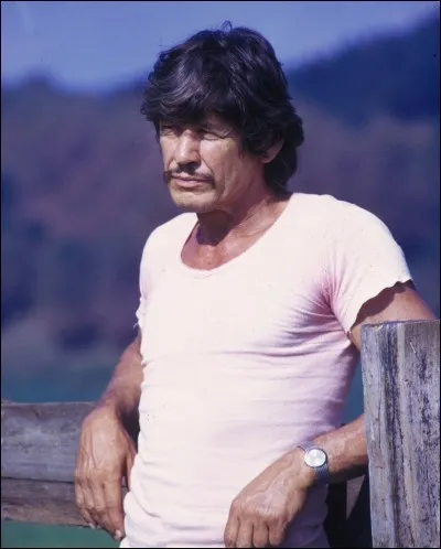 Charles Bronson a joué dans les sept...