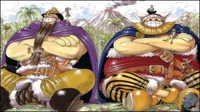 Little Garden est le nom de l'île sur laquelle il y a 2 géants qui s'appellent Dorry et Broggy !