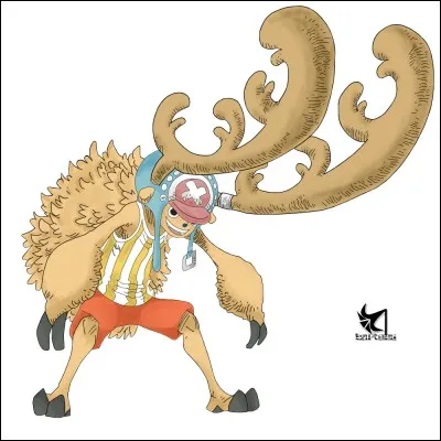 Chopper est un humain qui mange le fruit du démon du
renne !