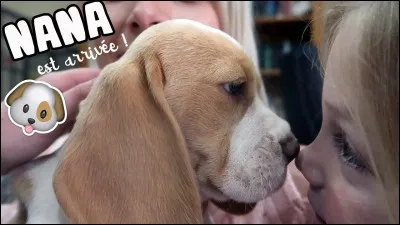 Comment s'appelle la chienne ?