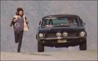 À qui appartenait cette Ford Mustang surnommée Blue Lady ?