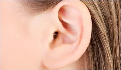 Comment s'appelle ceci en anglais ?