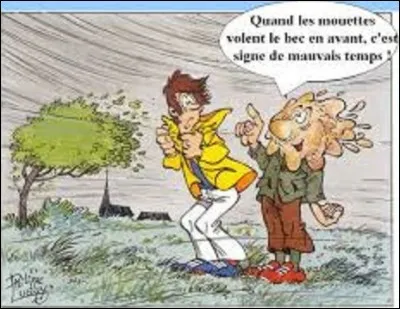 Mythologie : 
Dans la mythologie grecque, quel était le nom du dieu et maître des vents et des tempêtes ?