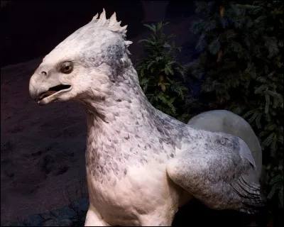 Le professeur des soins aux créatures magiques vous demande, en troisième année, quelle est votre créature magique favorite. Vous répondez...