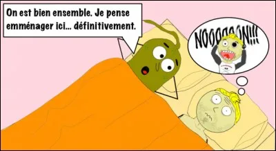 K - La bactérie responsable de la maladie de Lyme est le bacille de "Koch".