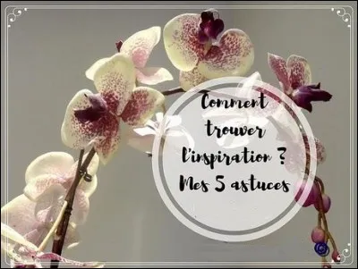 L - La "leucosélophobie" désigne l'angoisse de la page blanche.