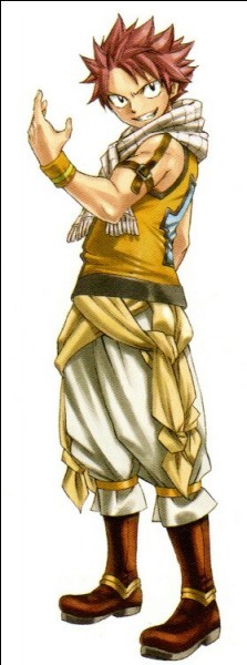 Quiz Fairy tail