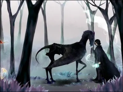 Quelles sont leurs particularités ?