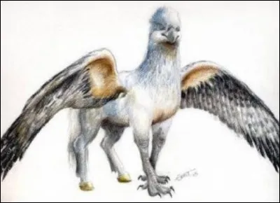 Quelle est la couleur de leurs yeux ?