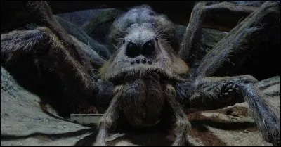 Passons à l'acromentule, qui à mon avis ne sera pas votre créature préférée. Mais d'abord, quel est son lieu d'origine ?