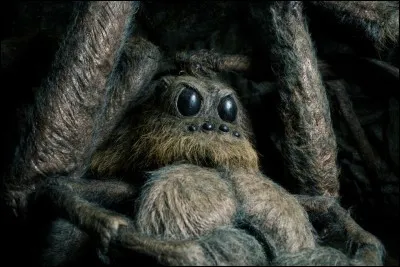 En quelle année témoigne-t-on pour la première fois de l'existence de l'acromentule ?