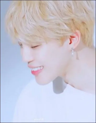 Quelle est la couleur préférée de Jimin ?