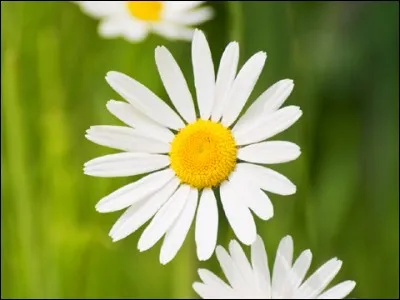 Qu'est-ce que c'est ?