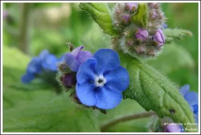 Qu'est-ce que c'est ?