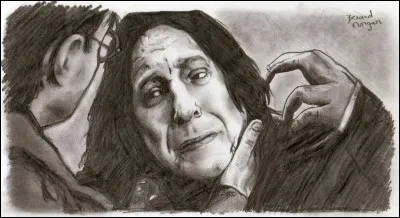 Après la mort de Severus Rogue, à qui appartient cette baguette ?