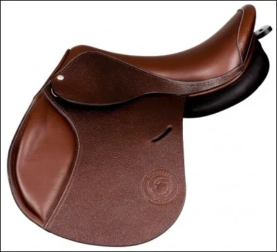 Équipement de l'animal : 
Comment s'appelle l'objet que l'on met sur le dos du cheval et sur lequel on s'assoit ?