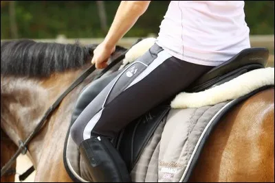 Équipement du cavalier : 
Est-ce que le cavalier met un pantalon spécial ?