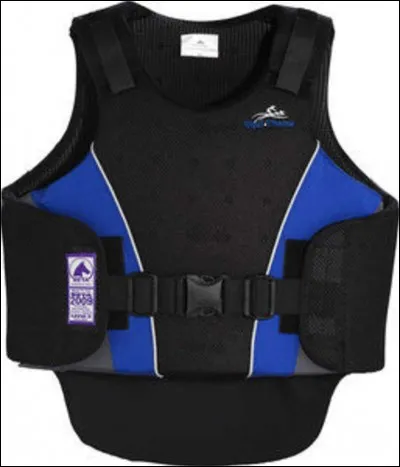 Équipement du cavalier : 
Comment s'appelle la protection sur le ventre et le dos qui protège le cavalier ?