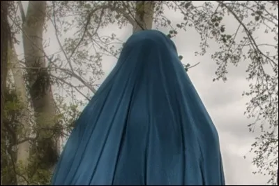 Est-ce un manga musulman ?