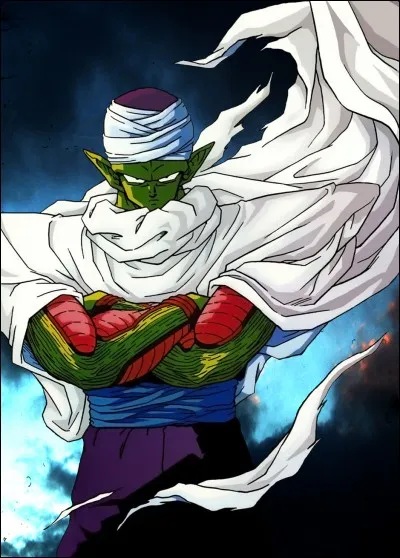 Piccolo a fusionné avec le Tout-Puissant.