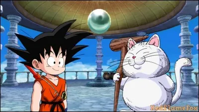 Le chat dans la tour s'appelle Karin.