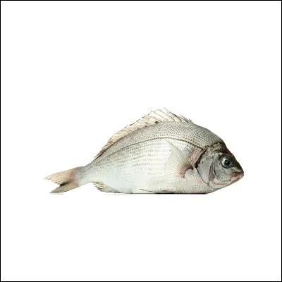 À quelle température conserve-t-on le poisson ?