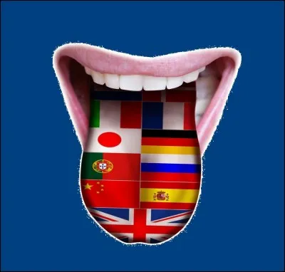 Dans combien de langues officielles sont écrits les textes promulgués par l'Union européenne ?