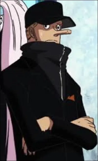 Qui a battu Kaku dans l'anime et avec quelle technique ?